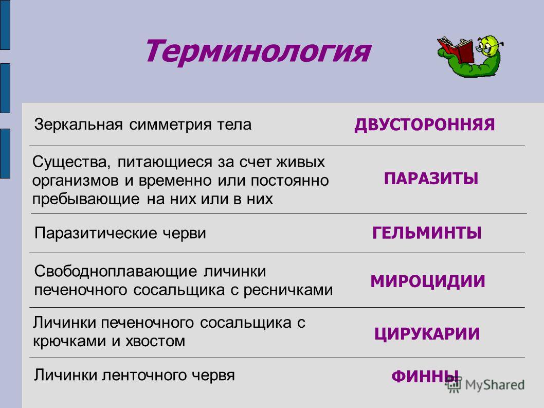 Kra35.at